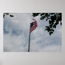 Drapeau de liberté poster