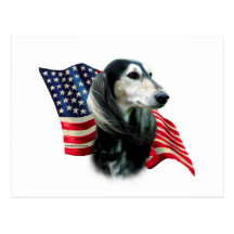 Drapeau de Saluki Cartes Postales