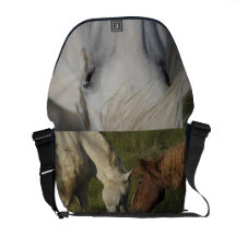 Draught   Horse Bag Messenger Bag