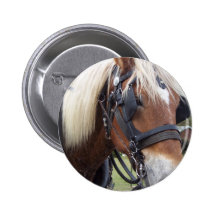 Draught   Horse Buttons