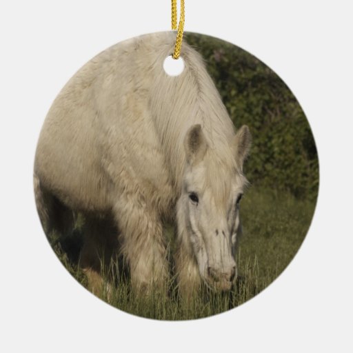 Draught   Horse Ornament