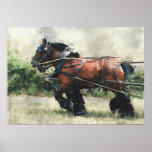 Draught   horse team in harness posters