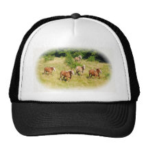 Draught   horses in field hats