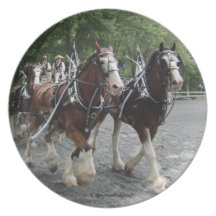 Draught   HorseTeam Dinner Plates