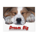 Dream Big Dog Postcards