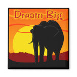 Dream big magnet