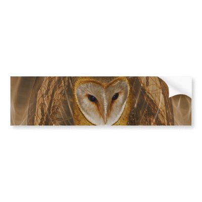 Dream catcher owl bumper stickers by laureenr