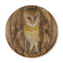 Dream catcher owl fridge magnet
