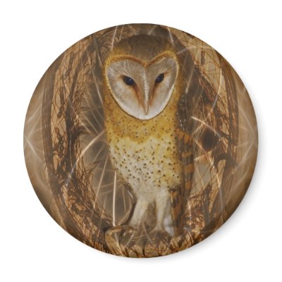 Dream catcher owl fridge magnet by laureenr