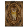 Dream catcher owl greeting cards