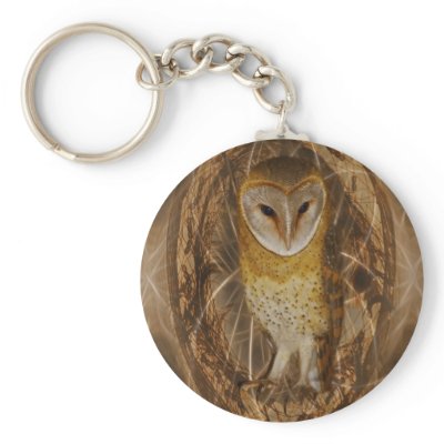 Dream catcher owl key chains by laureenr
