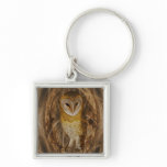 Dream catcher owl keychains