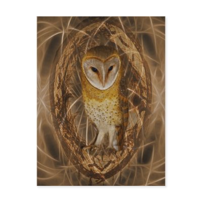 Dream catcher owl post card by laureenr