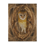 Dream catcher owl post card