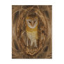 Dream catcher owl post card