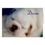 Dream English Bulldog Puppy Card