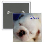 Dream English Bulldog Puppy Square Pinback Buttons