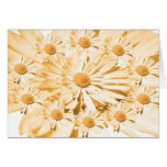Dream Flowers and Magic Patterns cards