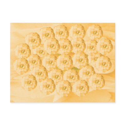 Dream Flowers and Magic Patterns Post Card by ZAZZLELIST