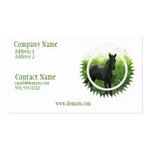 Dream Horse Business Card
