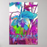 Dream in Colour Teal Columbine w Poster Edging posters