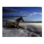 Dream-Mare Postcard