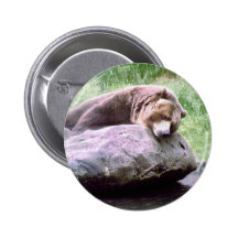 Dream Pool Bear Button