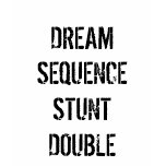 DREAM SEQUENCE STUNT DOUBLE t-shirts