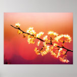 Dreamer, Spring Flowers are blooming Posters