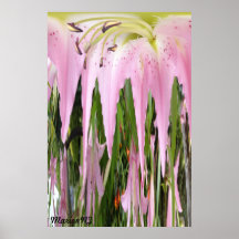 Dreaming Flower Poster