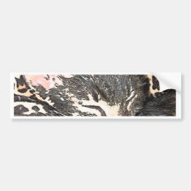 Dreaming Kitten Bumper Stickers