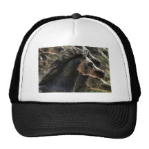 Dreaming of horses trucker hats