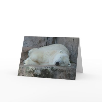 Dreaming of Icebergs Greeting Card by JaguarPhotos