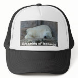 Dreaming of Icebergs Hat