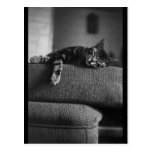 Dreaming Postcards