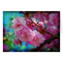 Dreamland Card