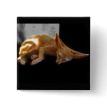 Dreamland Pinback Buttons