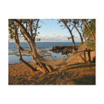 Dreamland Postcard