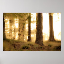 dreamland print