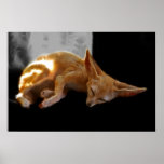 Dreamland Print