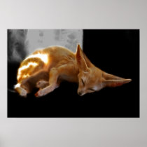 Dreamland Print