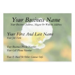Dreamscape - Iceland Poppy Business Card