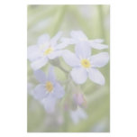 Dreamy Blue Forget Me Nots Stationery Design