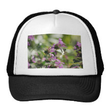 Dreamy butterfly mesh hats