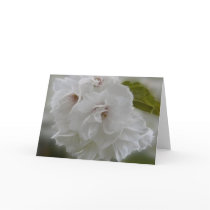 Dreamy Cherry Blossoms greeting card cards