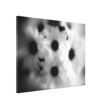 Dreamy Daisey Canvas Print
