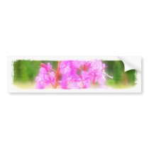 Dreamy Fireweed; No Text Bumper Stickers