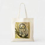Dreamy Owl Canvas Bags