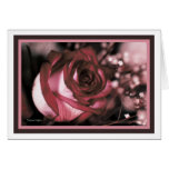Dreamy Pink/Red Rose Blank Card (Template)