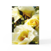 Dreamy Yellow Roses card